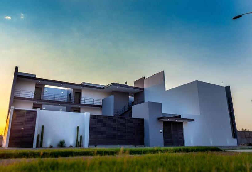 شقة غرفة واحدة, Nentvig 617