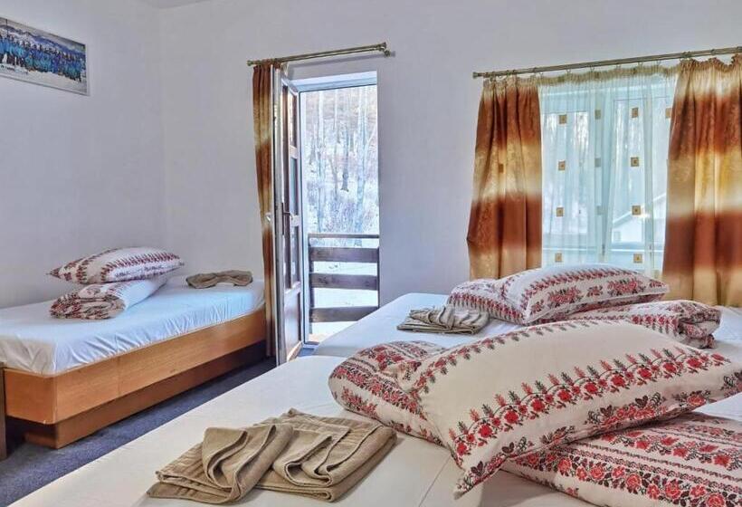 غرفة عائلية مطلّة علي الجبل, Dor De Munte Straja