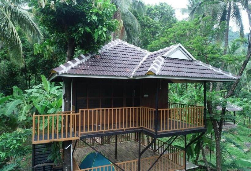 בקתת חדר, The Tree Organic Farm And Stay   Non Alcoholic Property