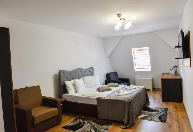 חדר סטנדרט יחיד, Darina Tarnaveni