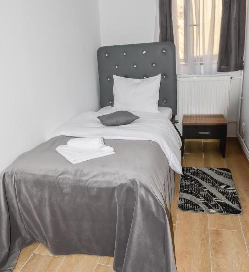 غرفة قياسية فردية, Darina Tarnaveni