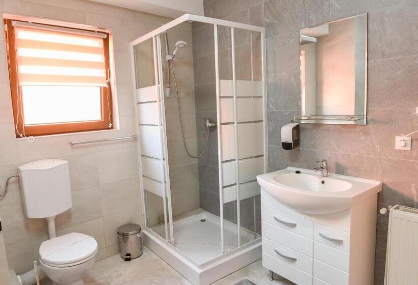 חדר סטנדרט, Darina Tarnaveni