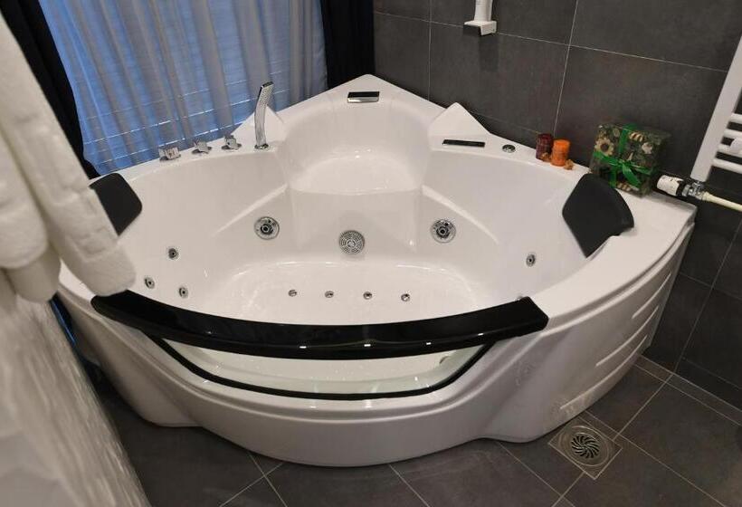 اتاق لوکس, In Park Villa