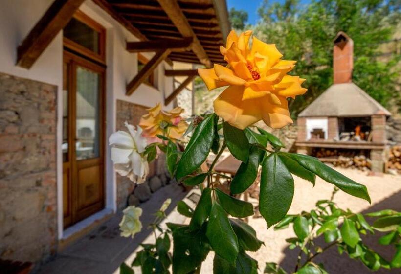 Апартаменты 1 Спальня Нижний Этаж, Podere Figlinelle