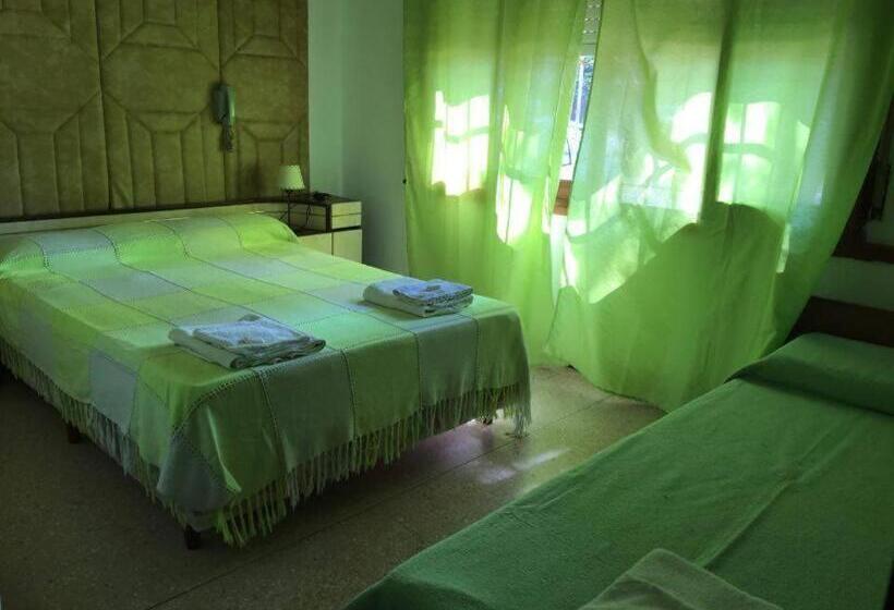 חדר סטנדרט, Sayonara