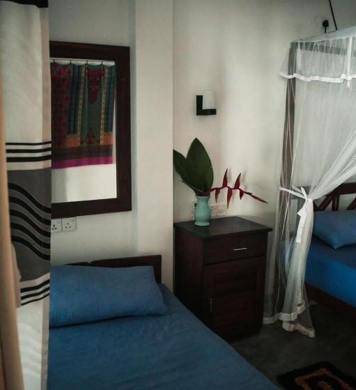 베이직 3인 룸, Dream Cabana