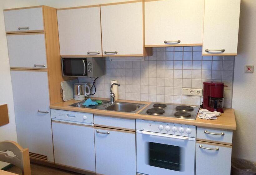 1 Yatak Odalı Daire, Haus Erwin Spiss