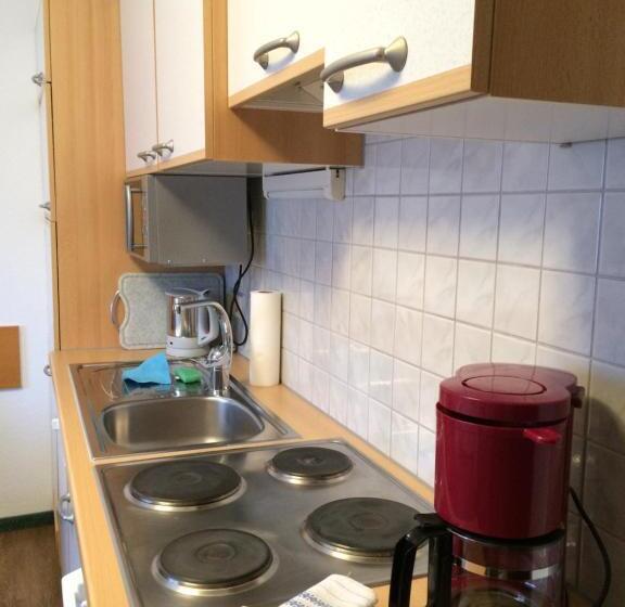 1 Yatak Odalı Daire, Haus Erwin Spiss