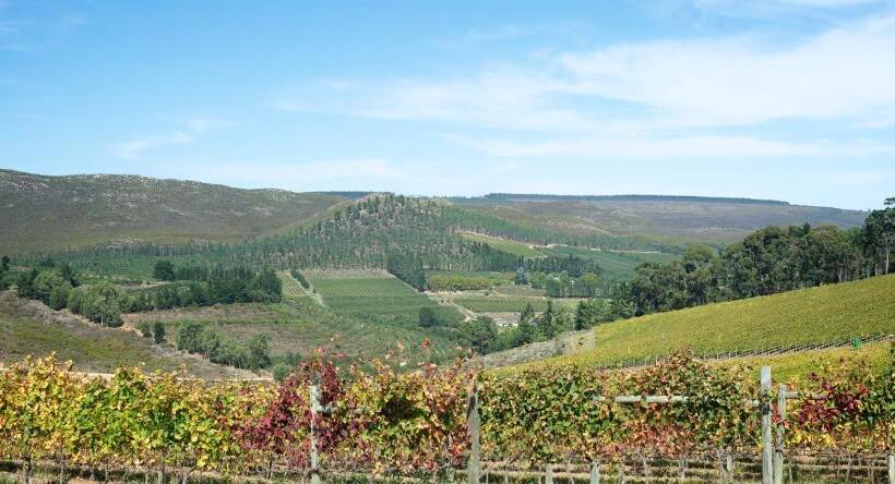 شاليه سوبيريور غرفة نوم واحدة, South Hill