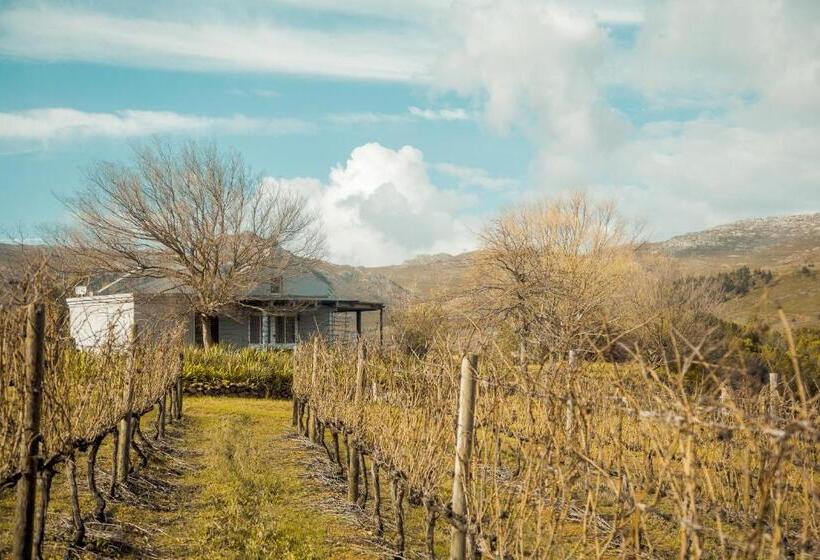 شاليه سوبيريور غرفة نوم واحدة, South Hill