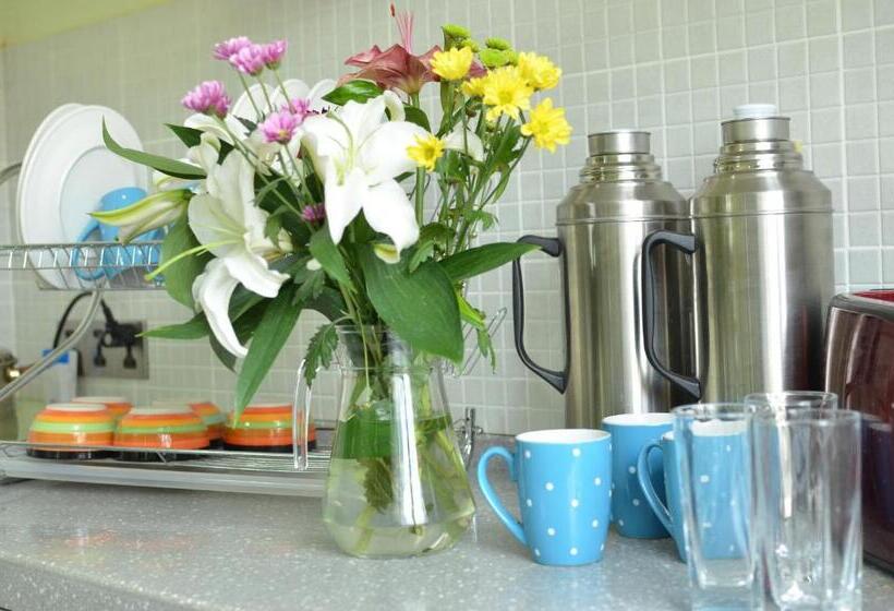 اتاق استاندارد یک تخته با سرویس بهداشتی مشترک, Zaya Guest House