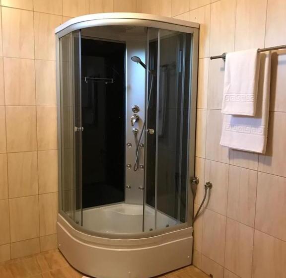 스탠다드 룸, Pension Hanul Andritei