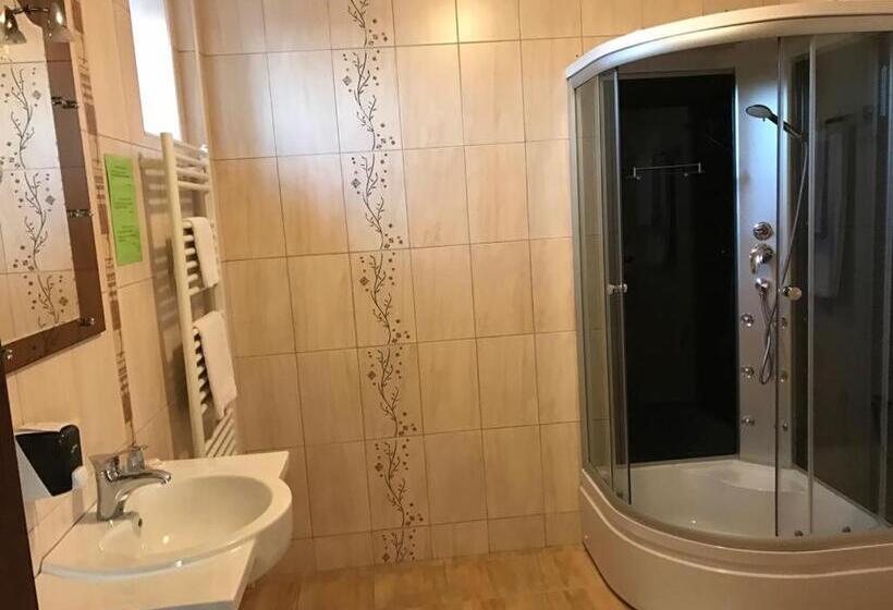 Habitació Estàndard, Pension Hanul Andritei