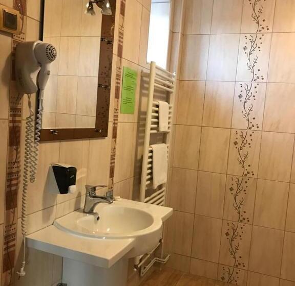 Habitació Estàndard, Pension Hanul Andritei