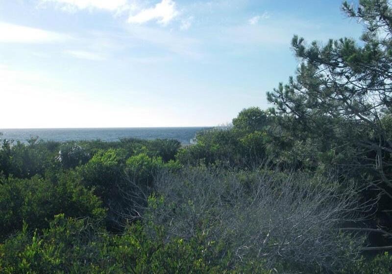 スタンダードルーム, Posada Anacahuita