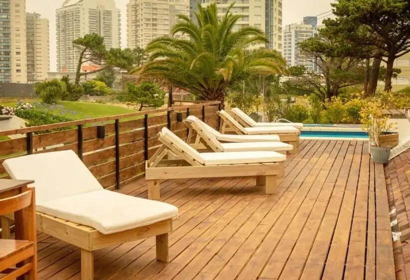 اتاق استاندارد با سرویس بهداشتی مشترک, Atlantic Hostel Punta Del Este