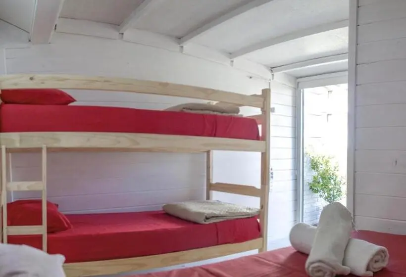 اتاق استاندارد چهار تخته, Atlantic Hostel Punta Del Este