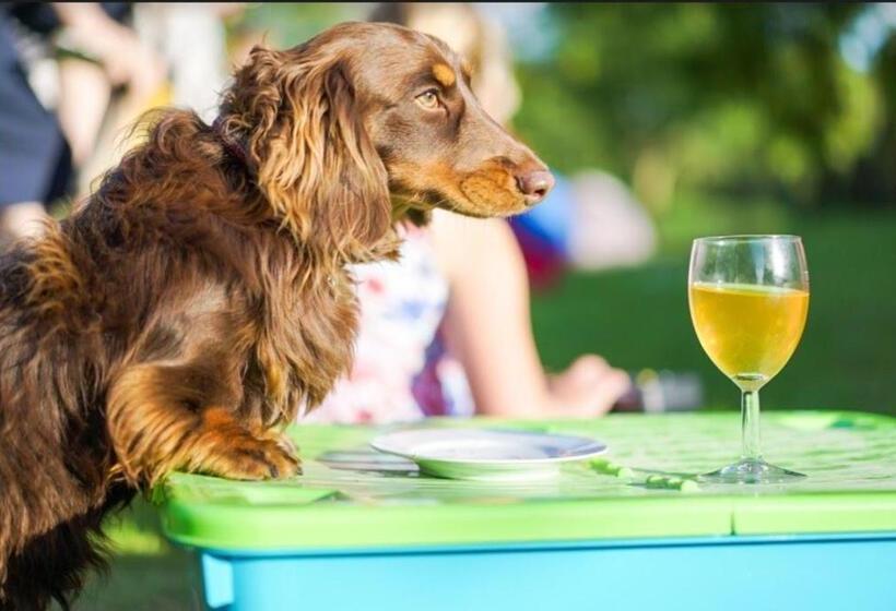 جناح ديلوكس سرير كينج, Upper Court