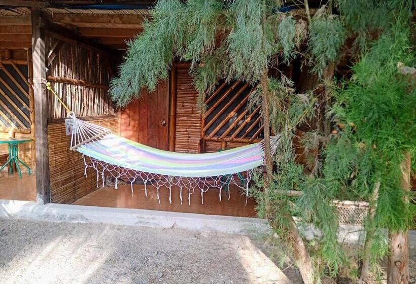 标准间, Guacamayo Bed & Breakfast