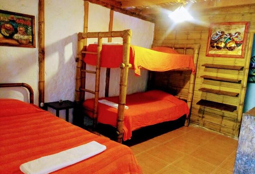 标准三人间, Guacamayo Bed & Breakfast