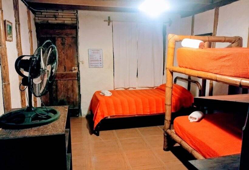 标准三人间, Guacamayo Bed & Breakfast