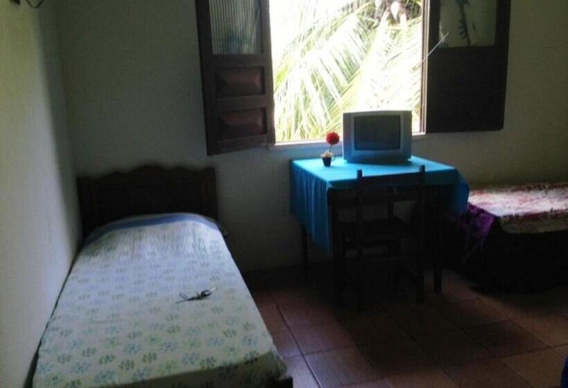 Номер Стандарт, Araruna