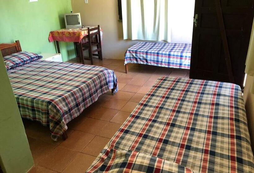 Номер Стандарт, Araruna