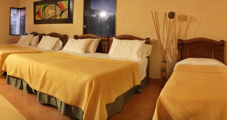 标准三人间, D  Leon Inn