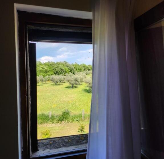 חדר סטנדרט, Villa Arzilla Antica Residenza Di Campagna