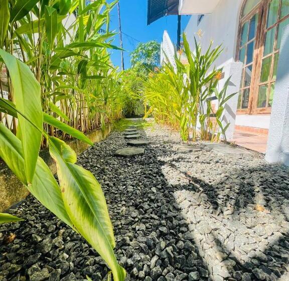 标准房带园景, Bougain Villa Guesthouse