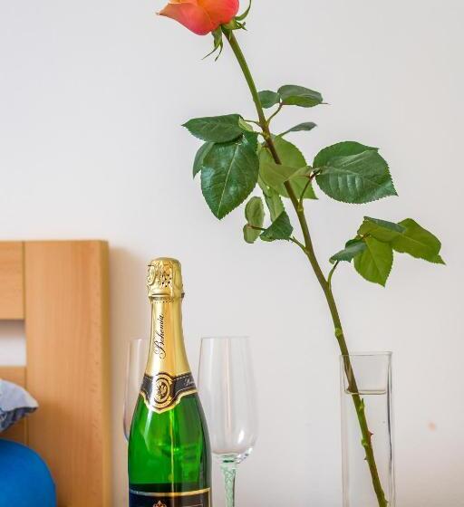 اتاق استاندارد, Penzion V Koutě