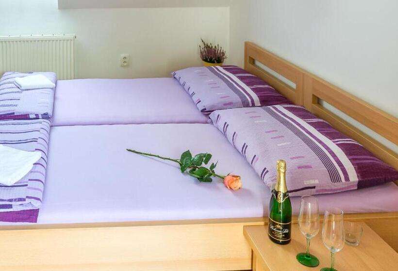 اتاق استاندارد, Penzion V Koutě