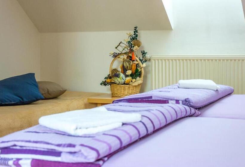 اتاق استاندارد, Penzion V Koutě