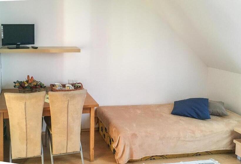 اتاق استاندارد, Penzion V Koutě