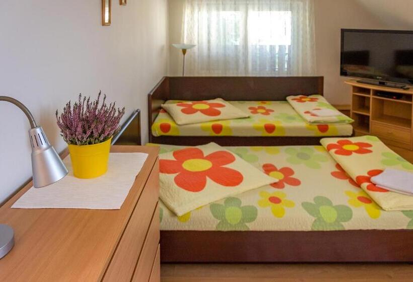 اتاق استاندارد چهارنفره با سرویس بهداشتی مشترک, Penzion V Koutě