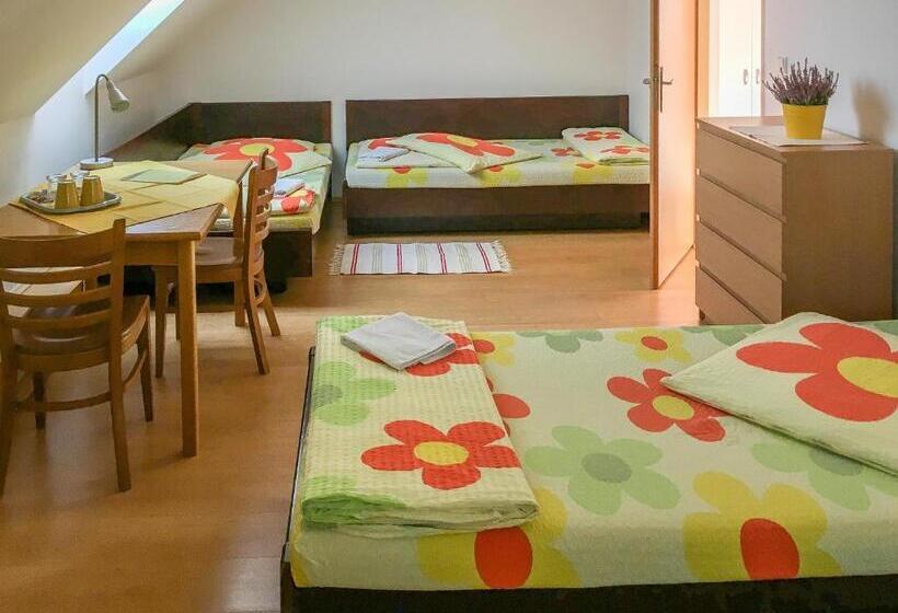 اتاق استاندارد چهارنفره با سرویس بهداشتی مشترک, Penzion V Koutě