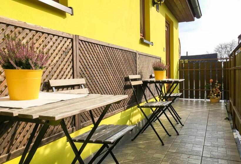 اتاق استاندارد چهارنفره با سرویس بهداشتی مشترک, Penzion V Koutě