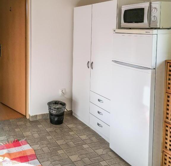 اتاق استاندارد با سرویس بهداشتی مشترک, Penzion V Koutě