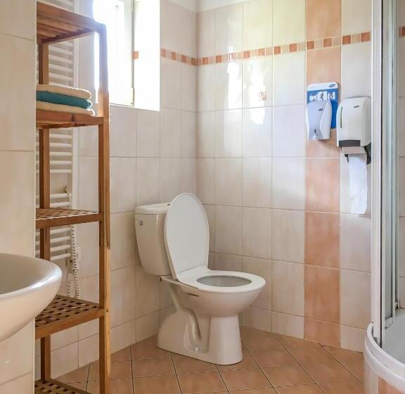 اتاق استاندارد با سرویس بهداشتی مشترک, Penzion V Koutě