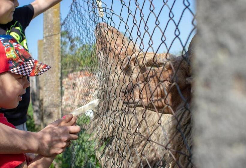 شقة غرفة نوم واحدة بالطابق الأرضى, Tölgyfa Vendégház
