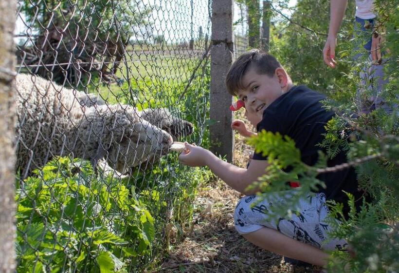شقة غرفة واحدة, Tölgyfa Vendégház