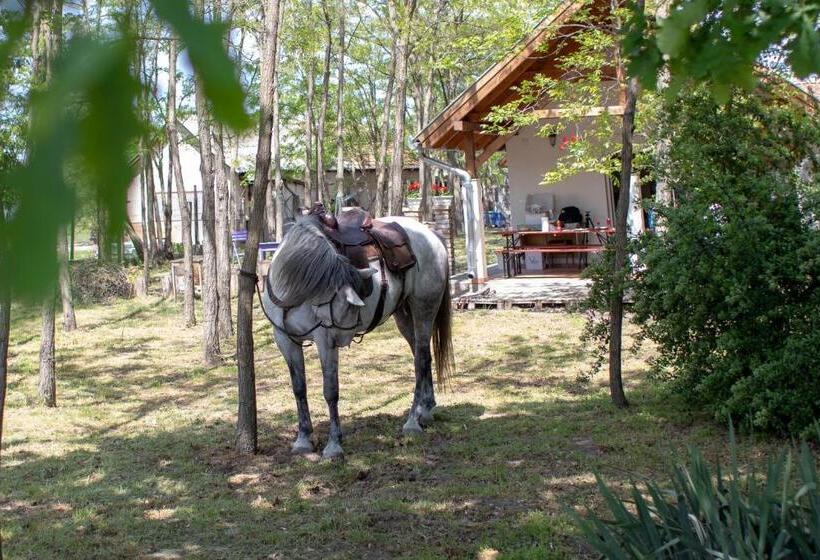 شقة غرفة واحدة, Tölgyfa Vendégház