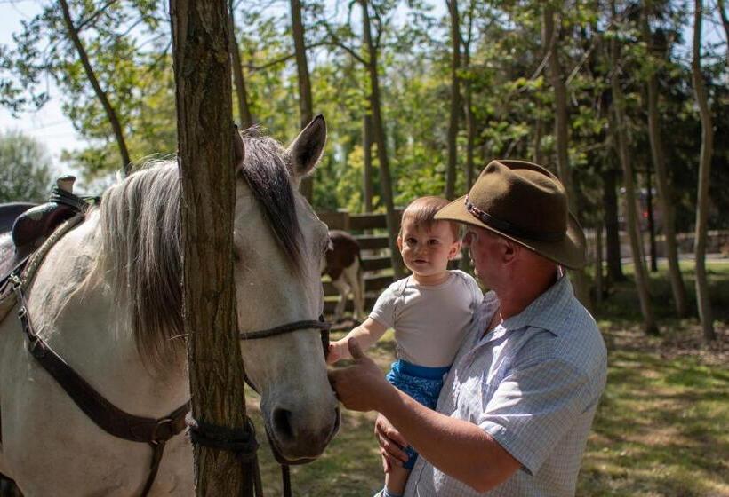 شقة غرفة واحدة, Tölgyfa Vendégház