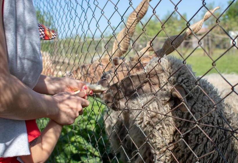 شقة غرفة واحدة مطلة على الحديقة, Tölgyfa Vendégház