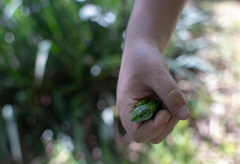شقة غرفة واحدة مطلة على الحديقة, Tölgyfa Vendégház