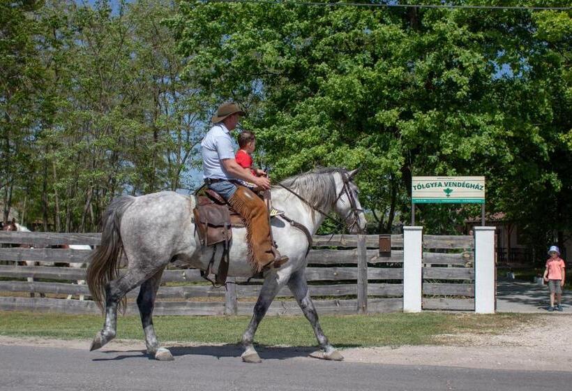 شقة غرفة واحدة مطلة على الحديقة, Tölgyfa Vendégház