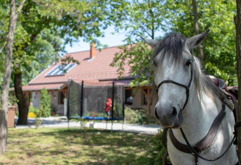 شقة غرفة واحدة مطلة على الحديقة, Tölgyfa Vendégház