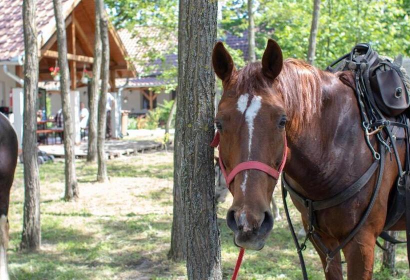 شقة غرفة واحدة مطلة على الحديقة, Tölgyfa Vendégház