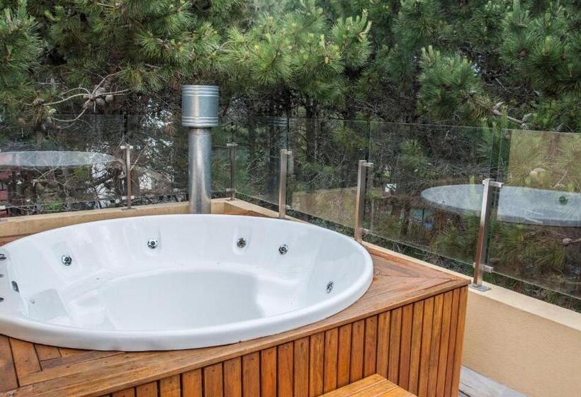 침실 2개 디럭스 아파트, Terrazas Del Bosque Aparts