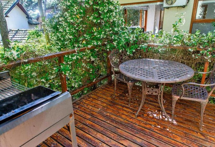 스탠다드 룸, Terrazas Del Bosque Aparts